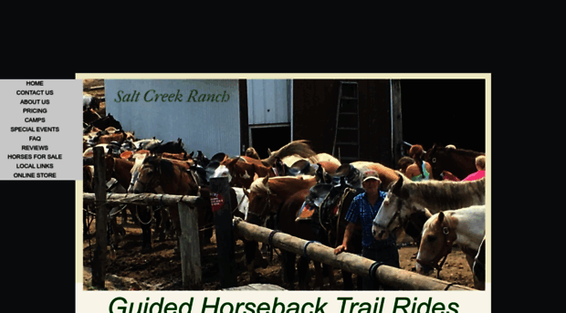 saltcreekhorseranch.com