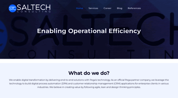saltech-consulting.com