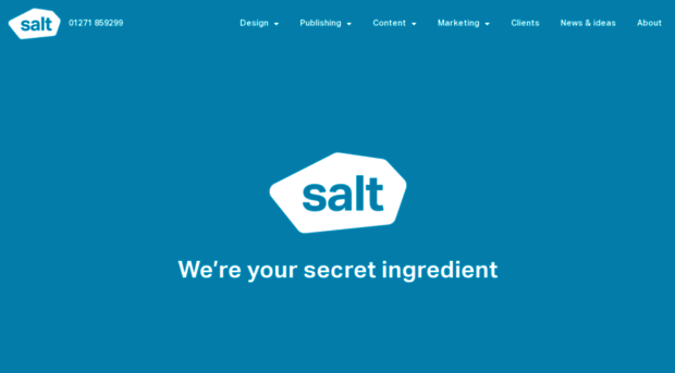 saltmedia.co.uk