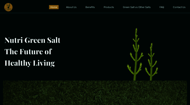 saltncure.com