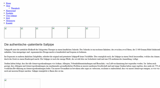 saltpipe-swiss.ch