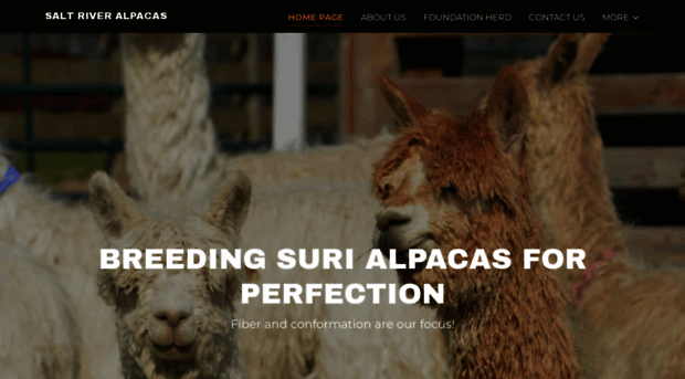 saltriveralpacas.com