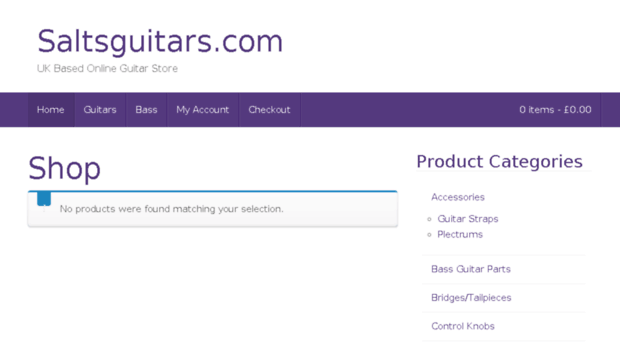 saltsguitars.com