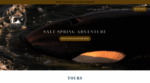 saltspringadventures.com