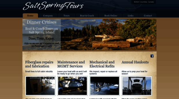 saltspringtours.com