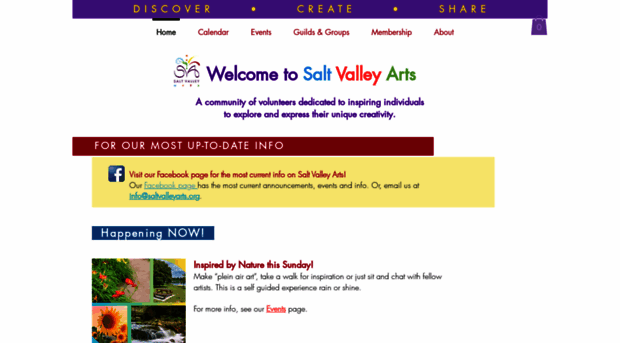 saltvalleyarts.org