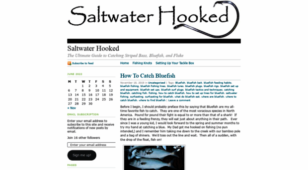 saltwaterhooked.wordpress.com