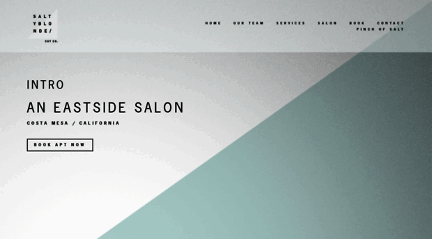 saltyblondecut.co