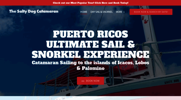 saltydogcatamaranpr.com