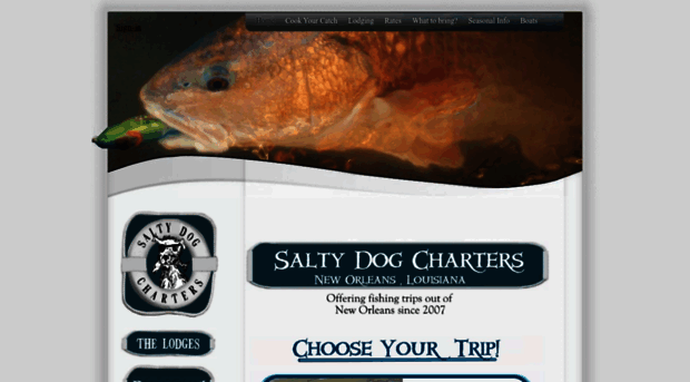 saltydogchartersllc.com