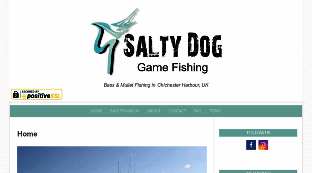 saltydogfishing.co.uk