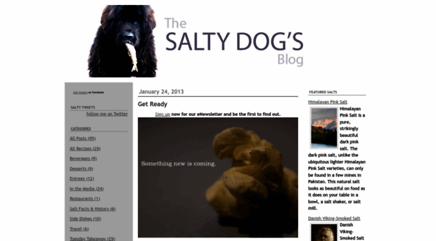 saltydogsblog.com