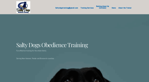 saltydogstraining.com