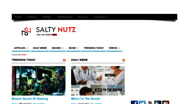 saltynutz.com