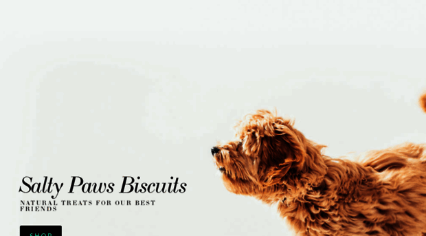 saltypawsbiscuits.com