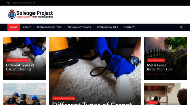 salvage-project.com