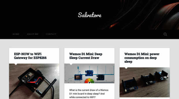 salvatorelab.com