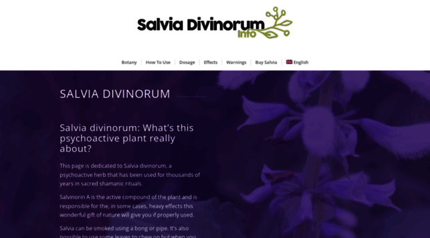 salvia-divinorum-info.com