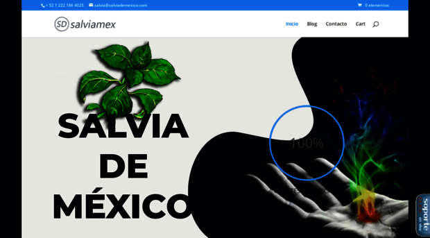 salviademexico.com