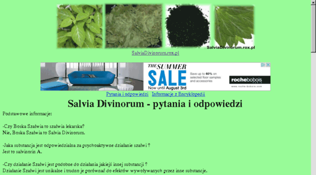 salviadivinorum.rox.pl