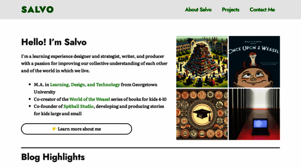 salvolavis.com