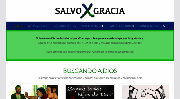 salvoxgracia.com