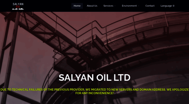 salyan-ltd.com