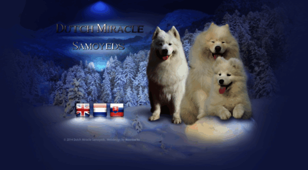 sam-samoyed.nl