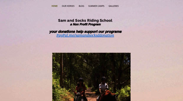 samandsocks.com