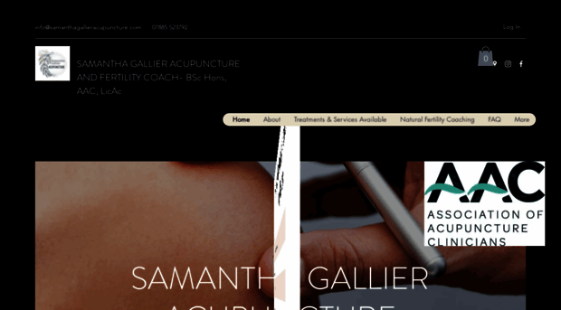 samanthagallieracupuncture.com