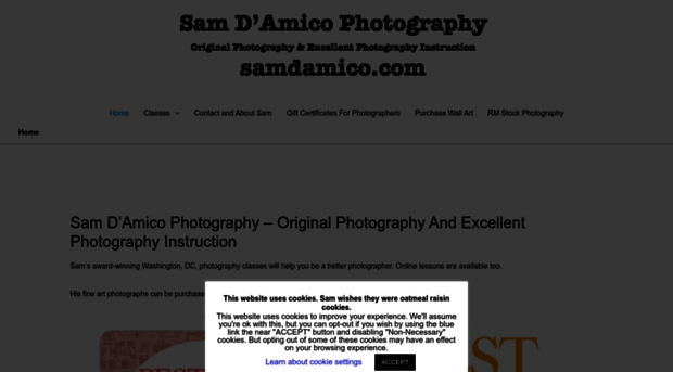 samdamico.com