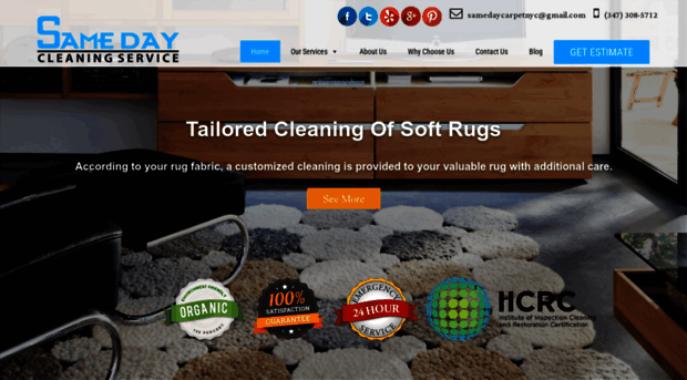 samedaycarpetcleaningnyc.com