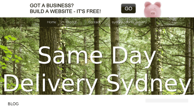 samedaydeliverysydney.bravesites.com