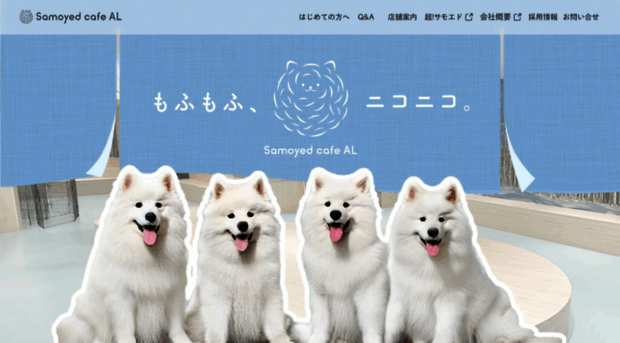 samoyed.jp