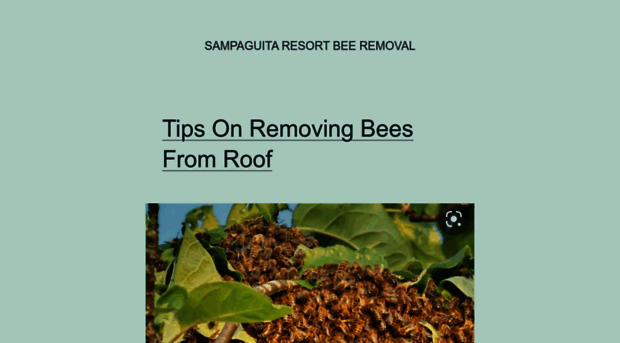 sampaguitaresort.com