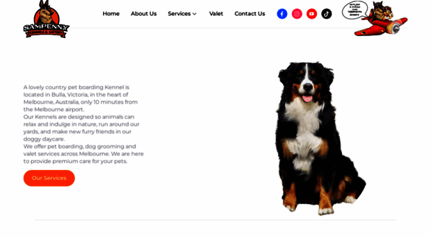 sampennykennels.com.au