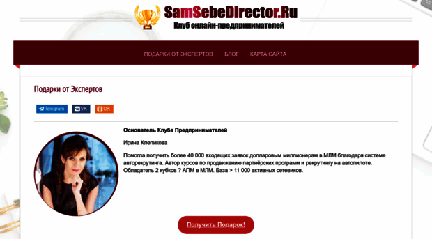 samsebedirector.ru