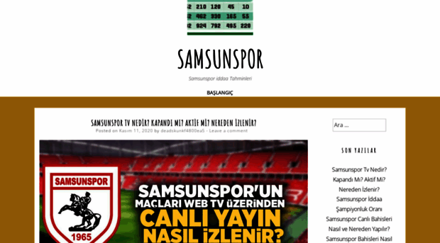 samsunsportv.net