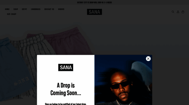 sanadetroit.com