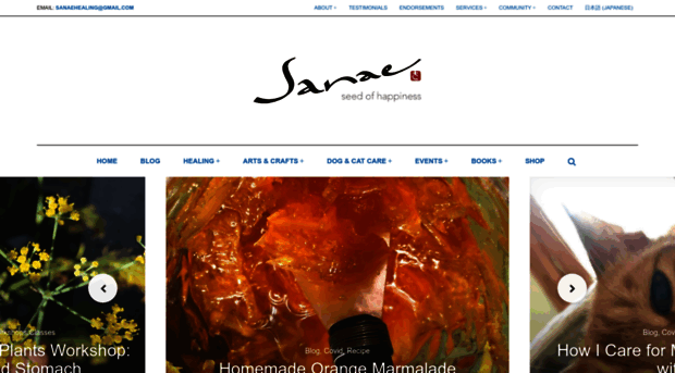 sanaesuzuki.com