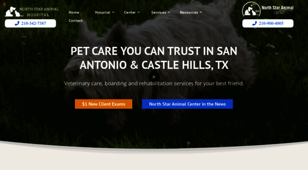 sanantoniotxvet.com