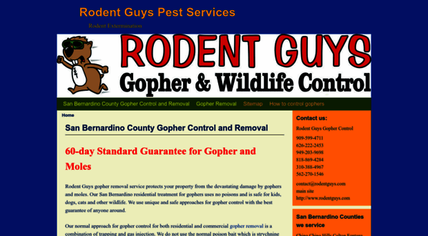 sanbernardinogopher.com