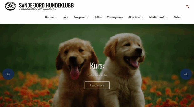 sandefjordhundeklubb.no