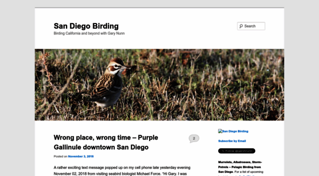 sandiegobirding.com