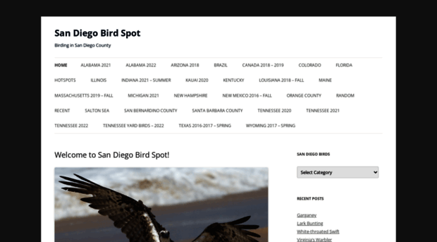 sandiegobirdspot.com