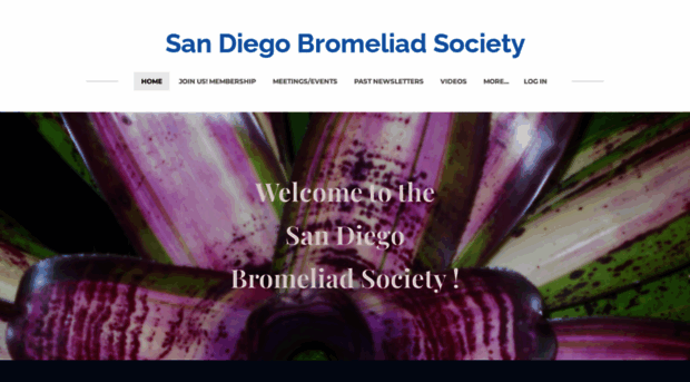 sandiegobromeliadsociety.org