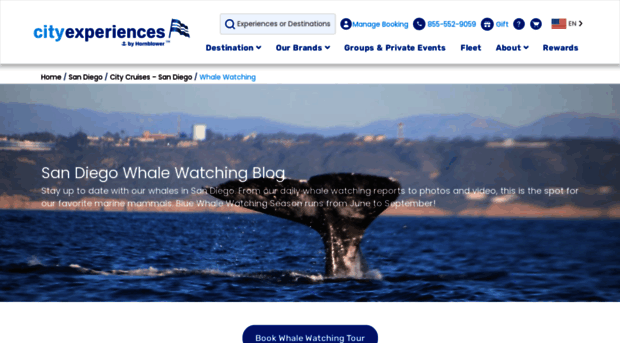 sandiegowhalewatching.com