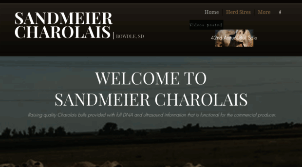 sandmeiercharolais.com