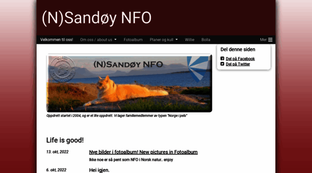 sandoykatt.com
