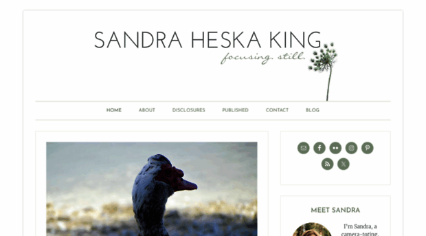 sandraheskaking.com